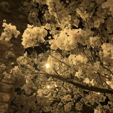 Profile image of 준브레드