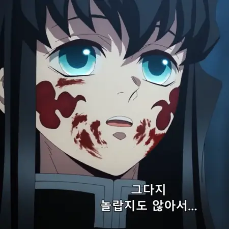 HeavyNyala4118의 토키토 무이치로