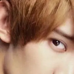 Profile image of 向井康二