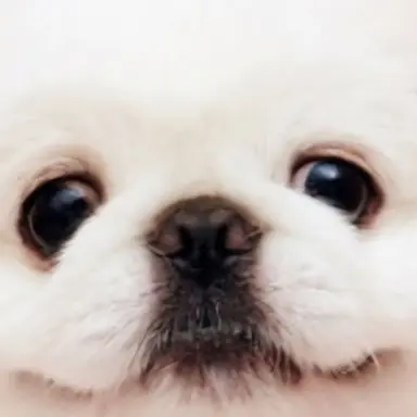 Profile image of 박늑대
