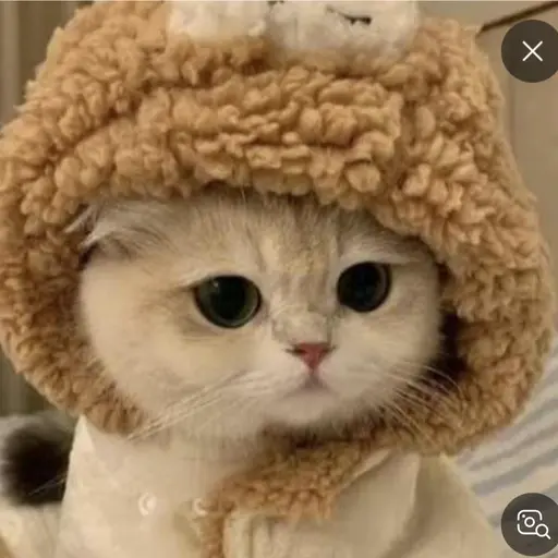 GoodStool1490의 냥냥이
