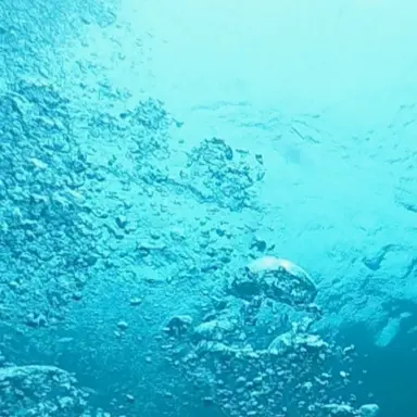 Profile image of 心操