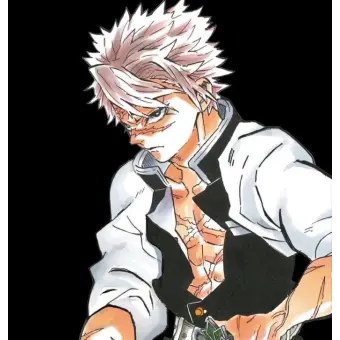 Profile image of Shinazugawa Sanemi