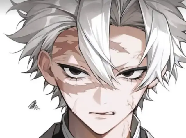 Profile image of Shinazugawa Sanemi
