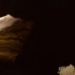 Profile image of 若井滉斗