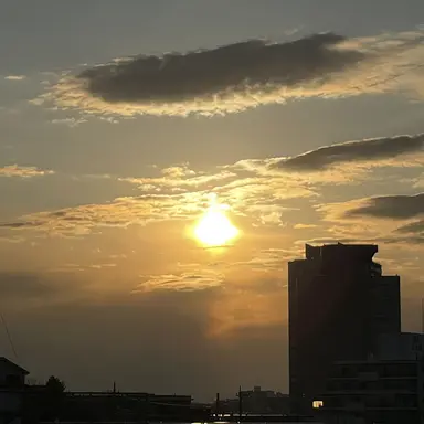 Profile image of カラピチ