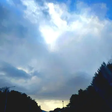 Profile image of 리듬빵