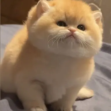 Profile image of 별이