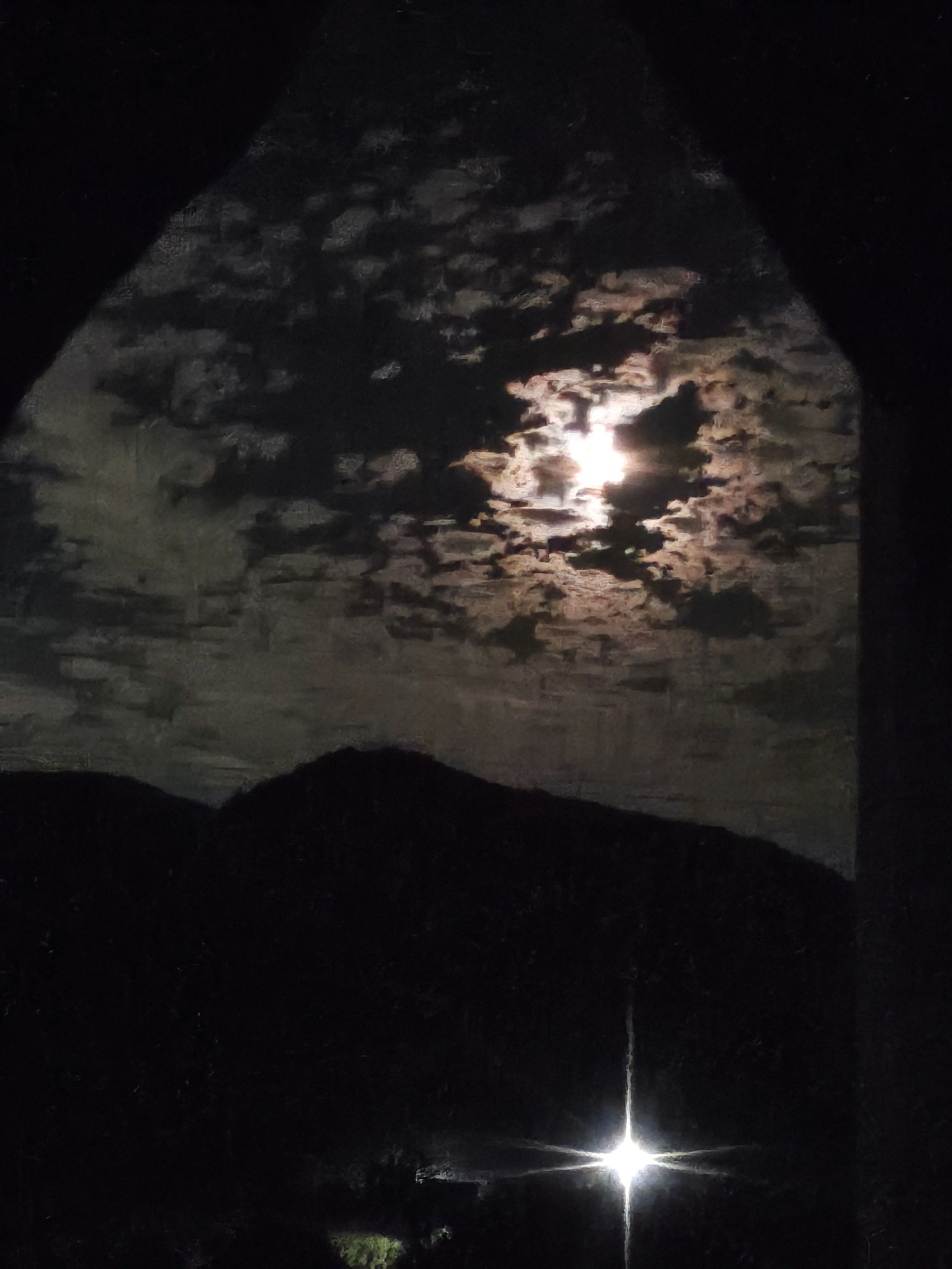 alwaysallyzald1.foever_sang1.의 .