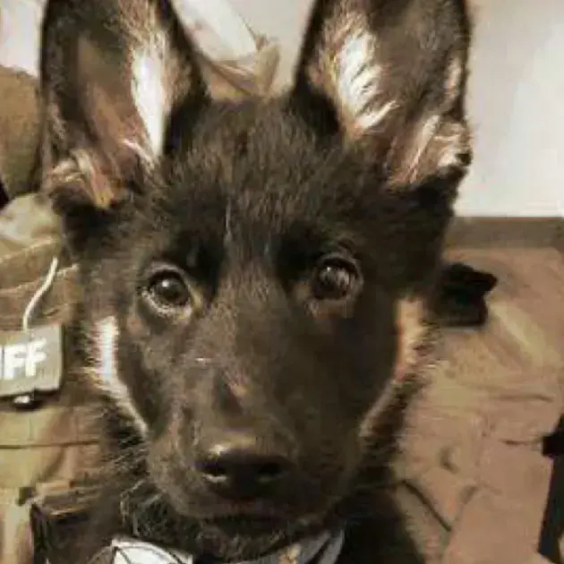 SafeBoiga1743의 Tf141 adult beach