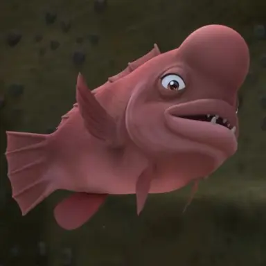 Profile image of Teacher Hokdom
