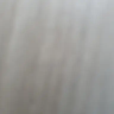 Profile image of 일진 수인들