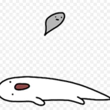 Profile image of 후쿠오카 텐진