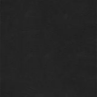 Profile image of 目黒蓮