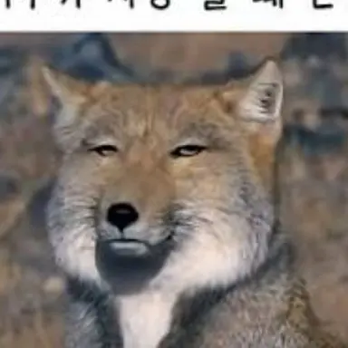 Profile image of 김늑대