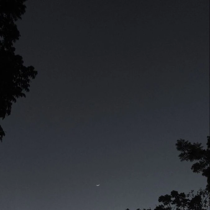 정이안