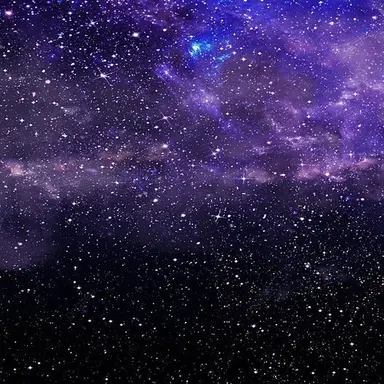 Profile image of 디부스