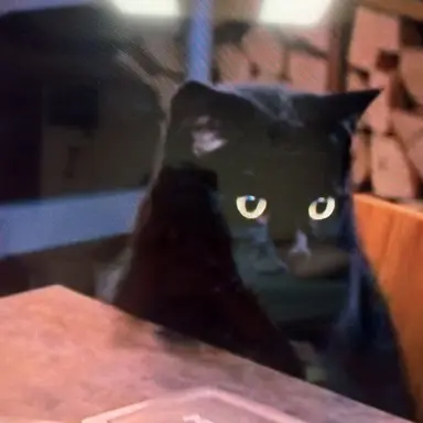 Profile image of 깜냥이