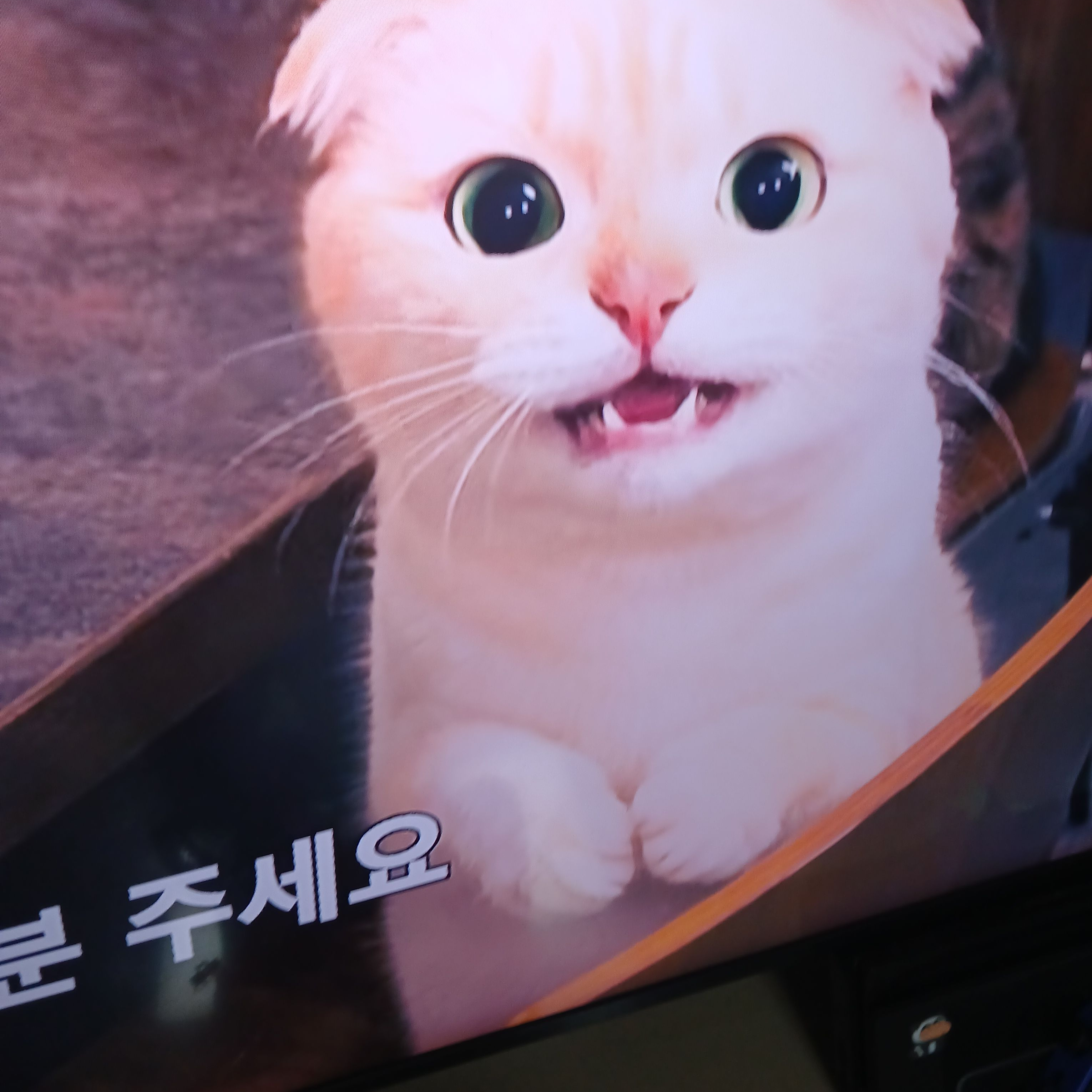 오늘도낭만(회식) 대표 이미지