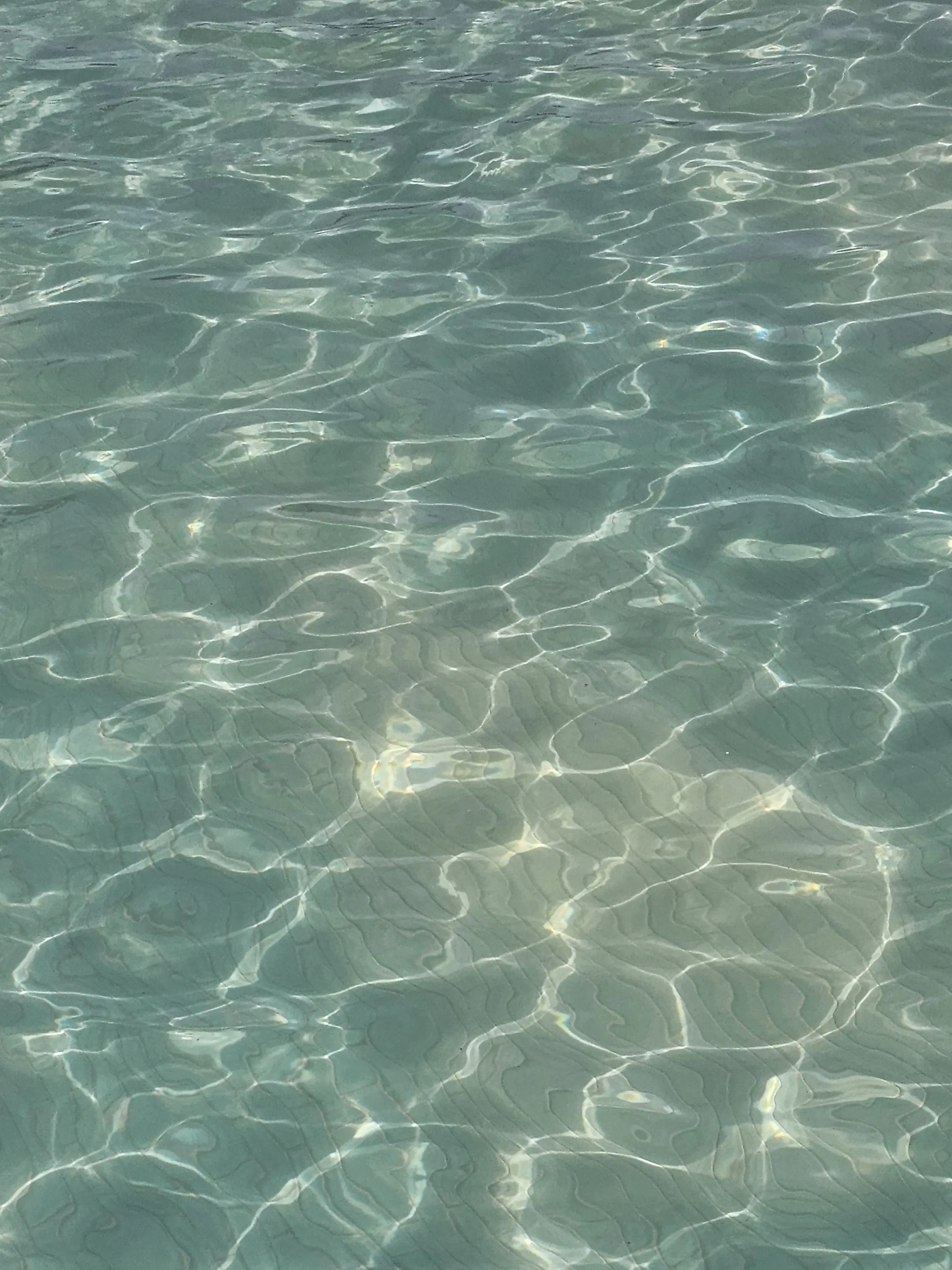 White-Potato의 중증외상센터