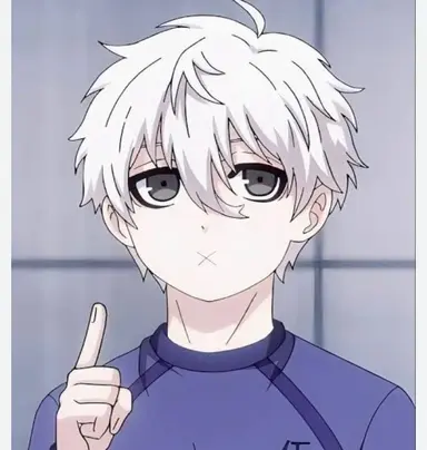 Profile image of Seishiro Nagi