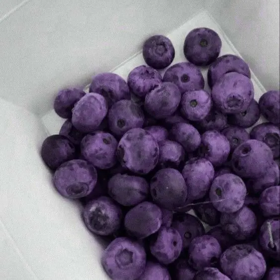 purple4의 호시나 소우시로