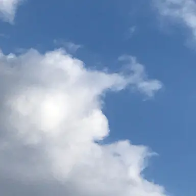 Profile image of 파크모