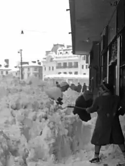 Amoo_의 ioan Hohenzollern