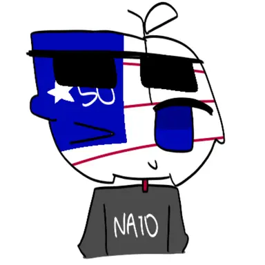Profile image of 미국