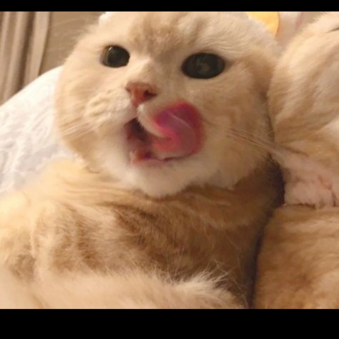 무리들