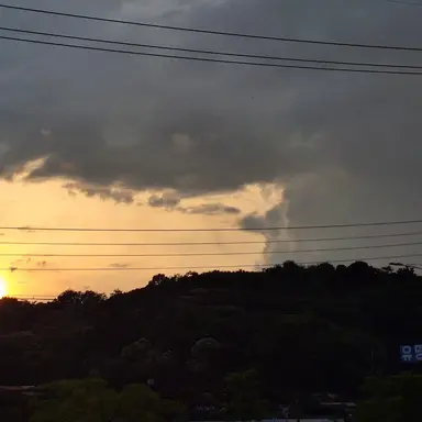 Profile image of 이채영