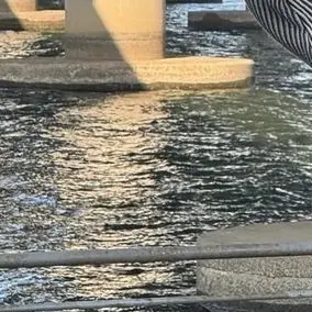 Profile image of 정상현