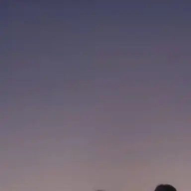 Profile image of 김건우