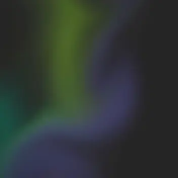 Profile image of 레온