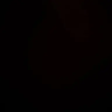 Profile image of Dianne