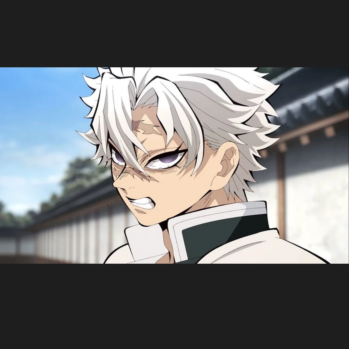 시네즈가와 사네미