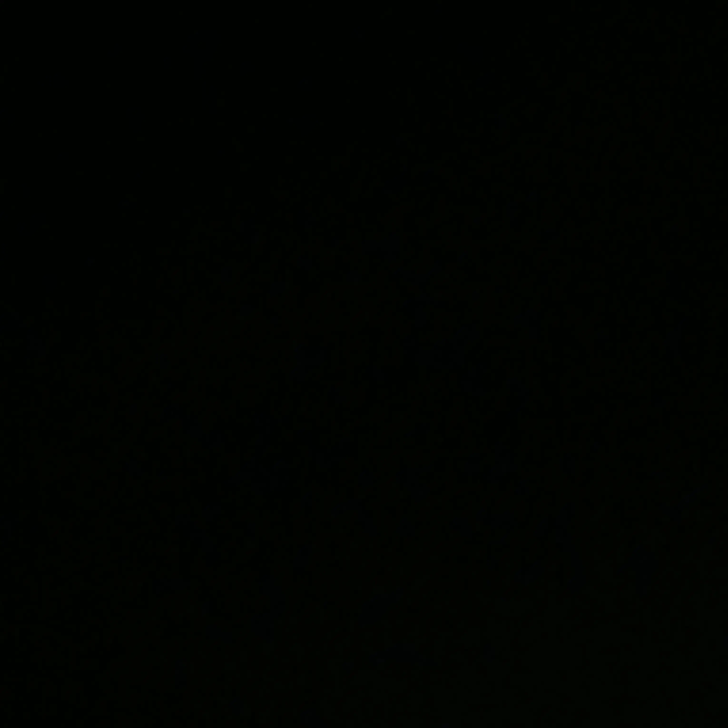 BND060403의 김동현