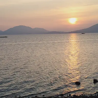 Profile image of 유유