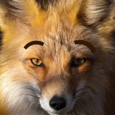 Profile image of 여우