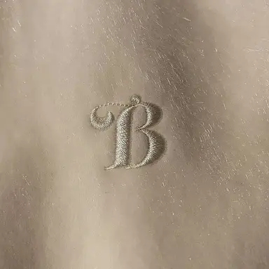 Profile image of Blaise