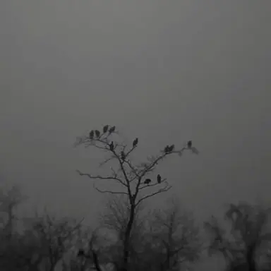 Profile image of 시미베