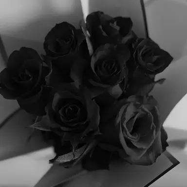 Profile image of 우융