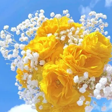 Profile image of 김각별