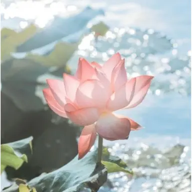 Profile image of 여우연