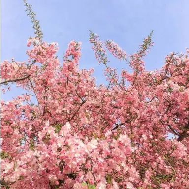 Profile image of 서라더