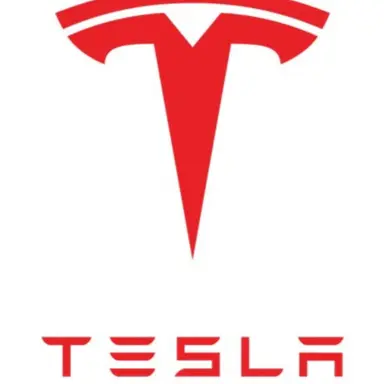 Profile image of 테슬라