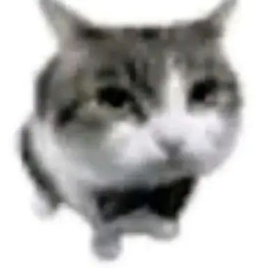 Profile image of 정공룡