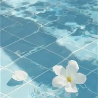 Profile image of 渚トラウト