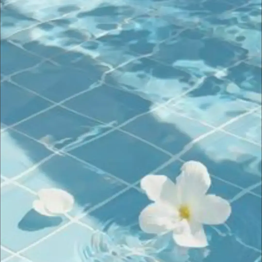 timi_0120의 とらぴ
