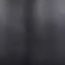 Leo_199512의 聖女争い